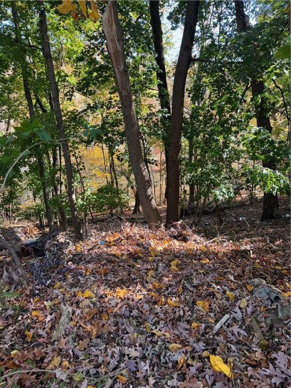 73 Providence Street West Warwick, RI 02893 - Photo 31 of 31 Path leading to the Pawtuxet River