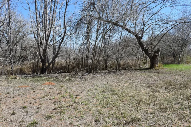 a view of a backyard with large trees
