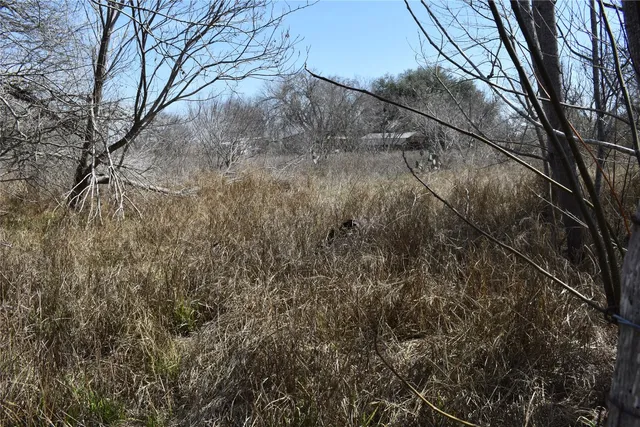 a view of a yard with trees