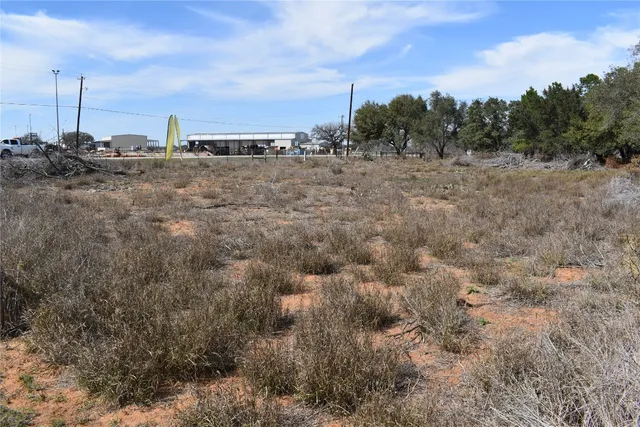 a view of a dry yard with lots of palm trees