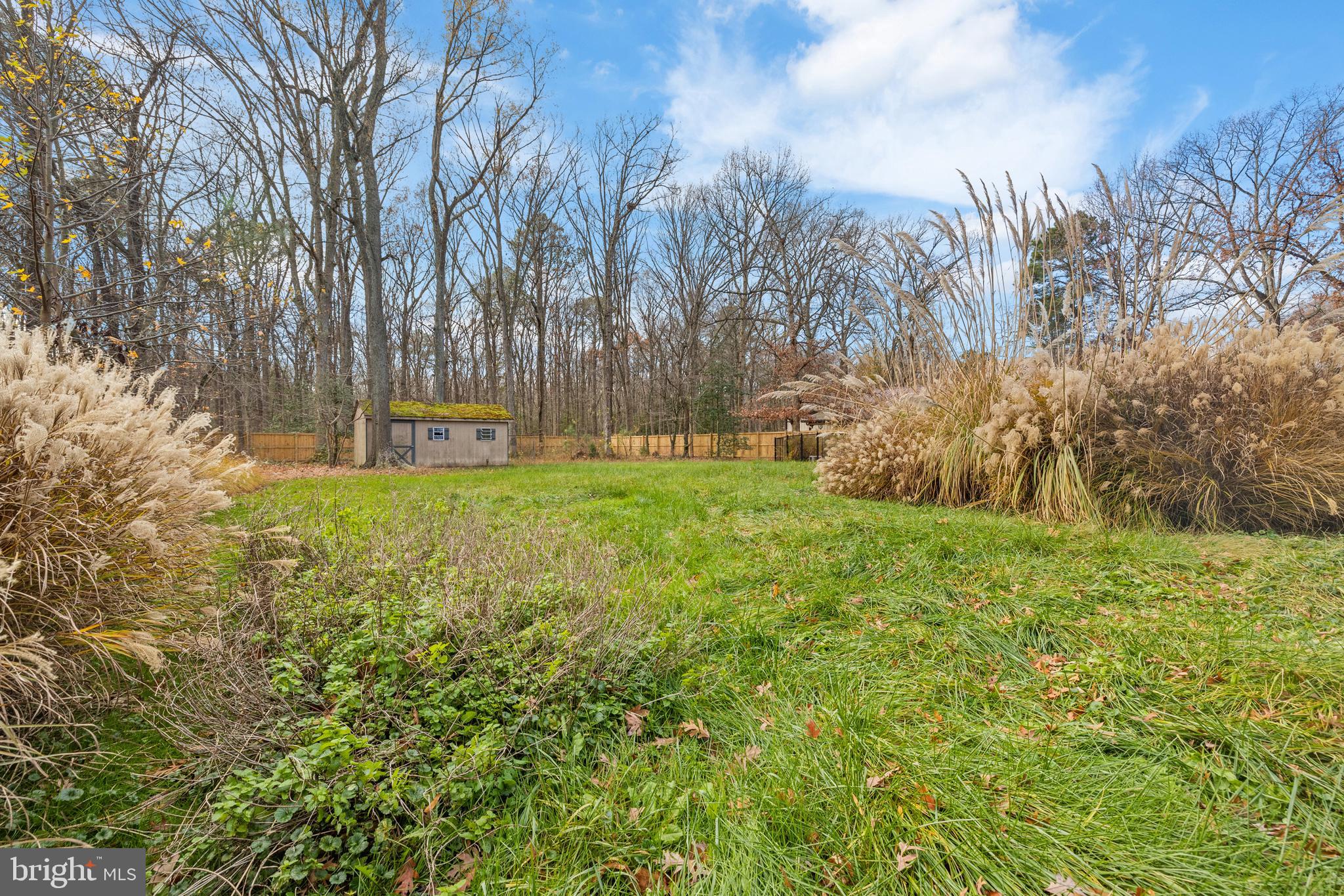 109 Woodmoor Road Stevensville, MD 21666 - Photo 5 of 31 a view of a yard with large trees
