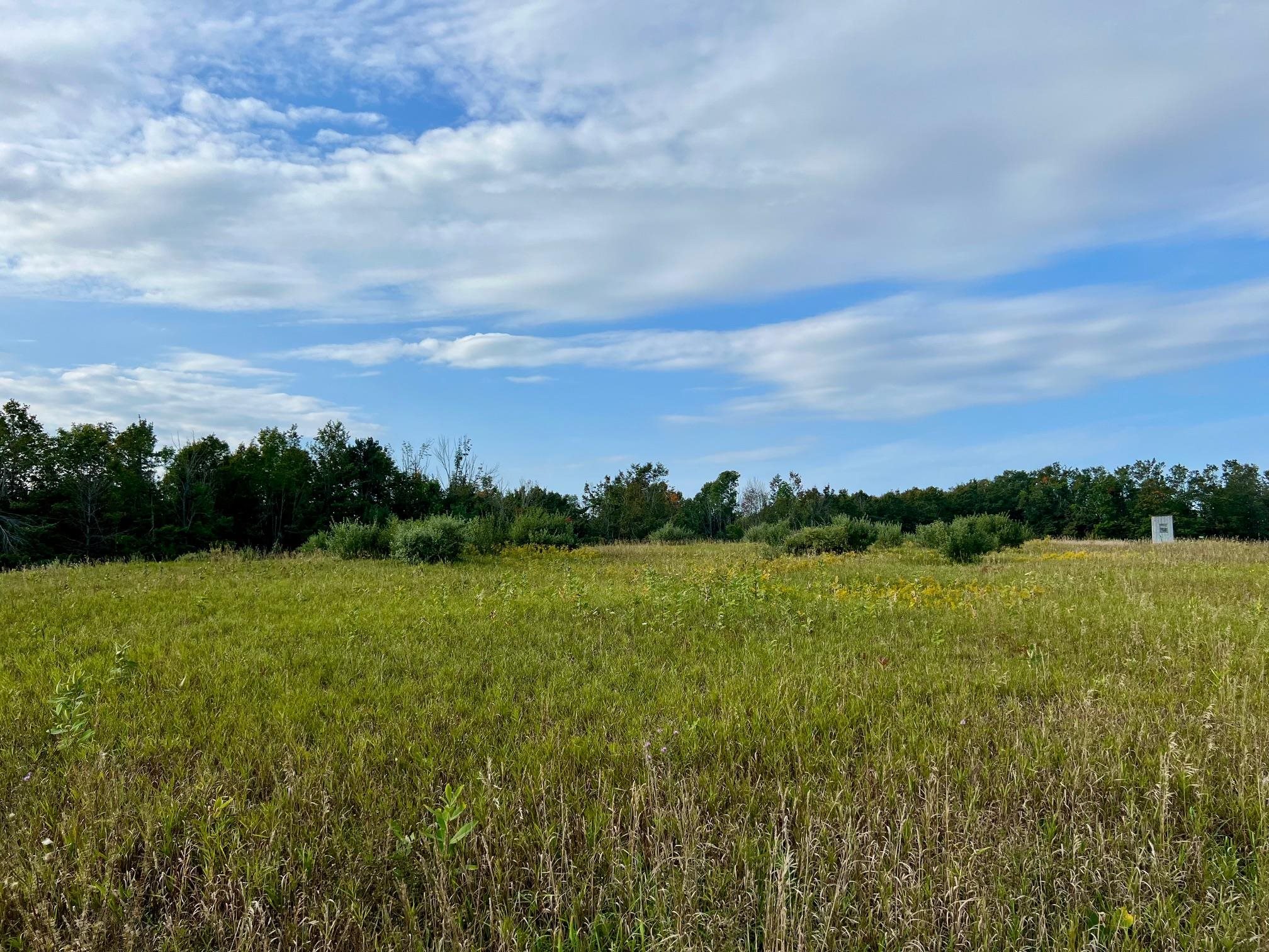 0 Skinner Road Charlevoix, MI 49720 - Photo 7 of 15