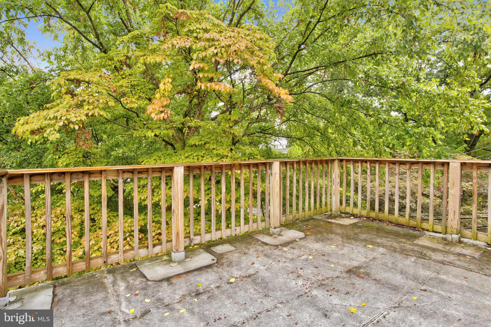 4527 Nebraska Avenue Northwest Washington, DC 20016 - Photo 20 of 43