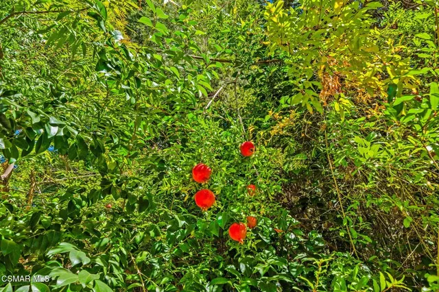 $1,250,000 | 15877 Beaver Run Road, Canyon Country, CA 91387