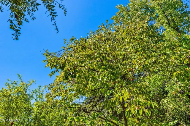 $1,250,000 | 15877 Beaver Run Road, Canyon Country, CA 91387