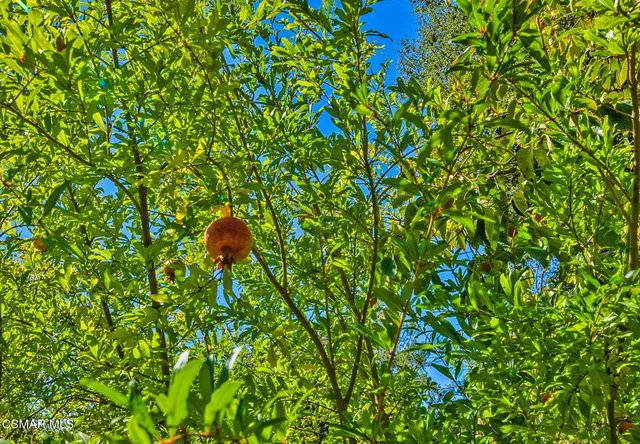 $1,250,000 | 15877 Beaver Run Road, Canyon Country, CA 91387