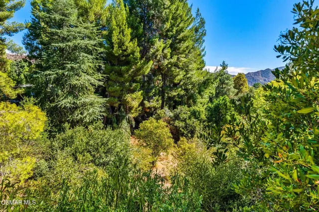 $1,250,000 | 15877 Beaver Run Road, Canyon Country, CA 91387