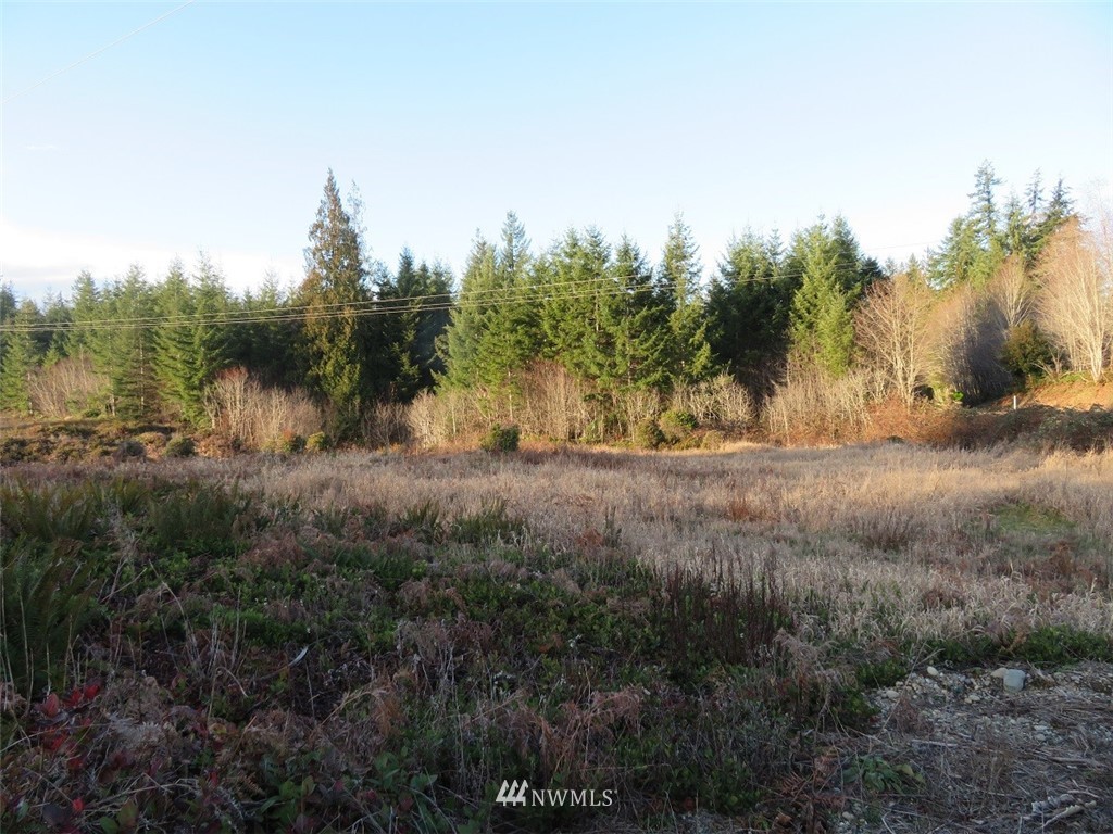 99 Lennon Road Elma, WA 98541 - Photo 11 of 18 Gallery Image 11