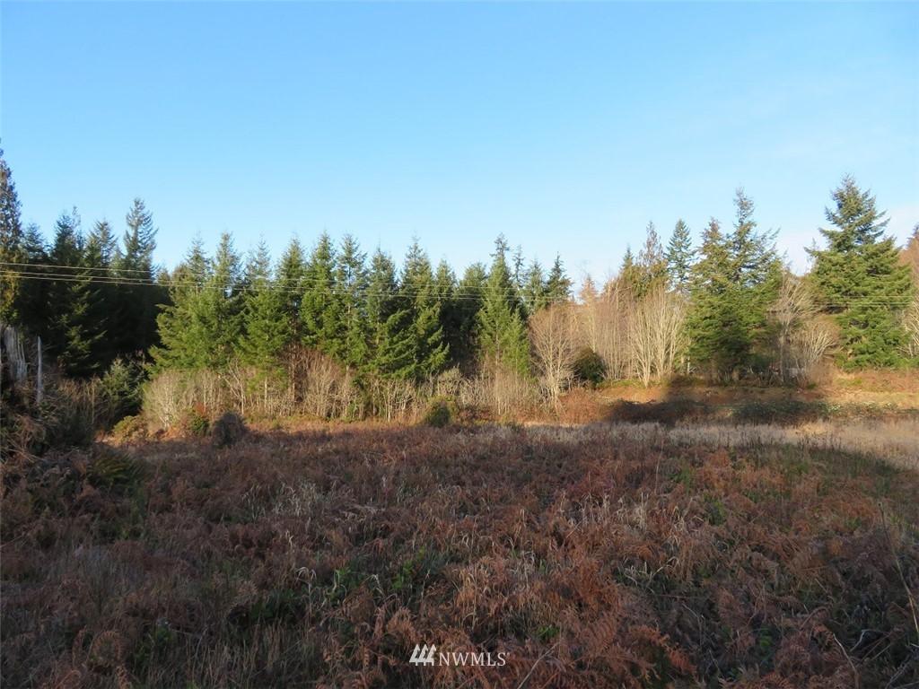 99 Lennon Road Elma, WA 98541 - Photo 4 of 18 Gallery Image 4