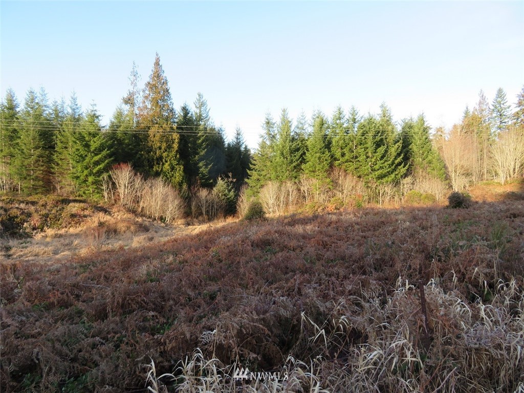 99 Lennon Road Elma, WA 98541 - Photo 9 of 18 Gallery Image 9