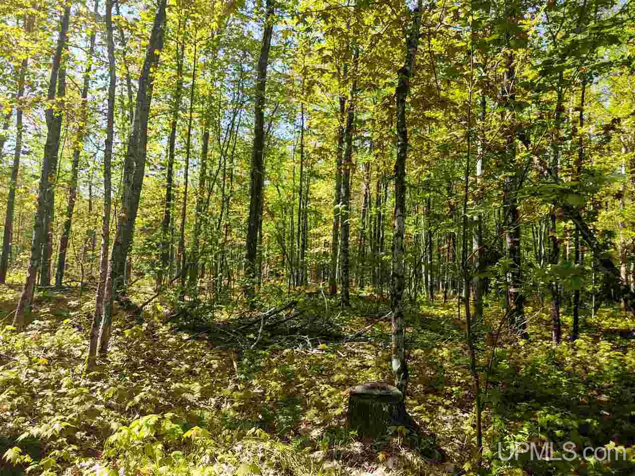 Tbd-parcel Point Abbaye Road Lanse, MI 49946 - Photo 6 of 25