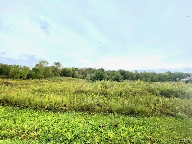 0 Senn Road Durhamville, NY 13054 - Photo 2 of 5 Gallery Image 2