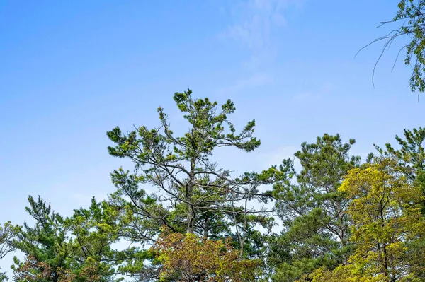 $339,000 | 3502 Irish Trail, Sturgeon Bay, WI 54235