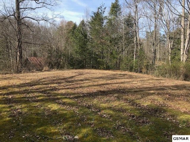 11 Reed Ridge Road Gatlinburg, TN 37738 - Photo 3 of 12