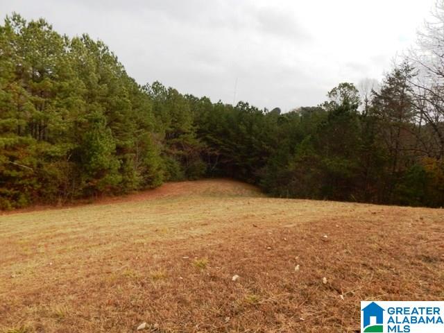 351 Beasley Road Gardendale, AL 35071 - Photo 1 of 6