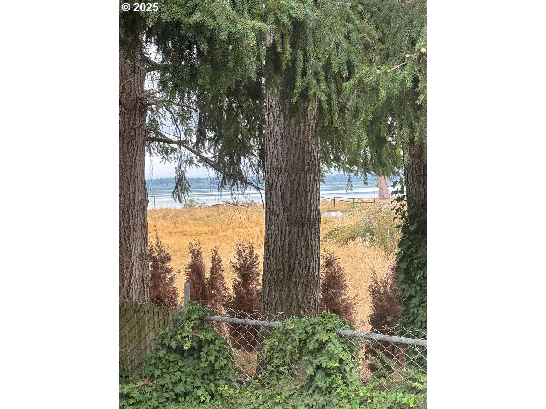 6610 Northwest Whitney Road, Unit 135 Vancouver, WA 98665 - Photo 2 of 32 Gallery Image 2