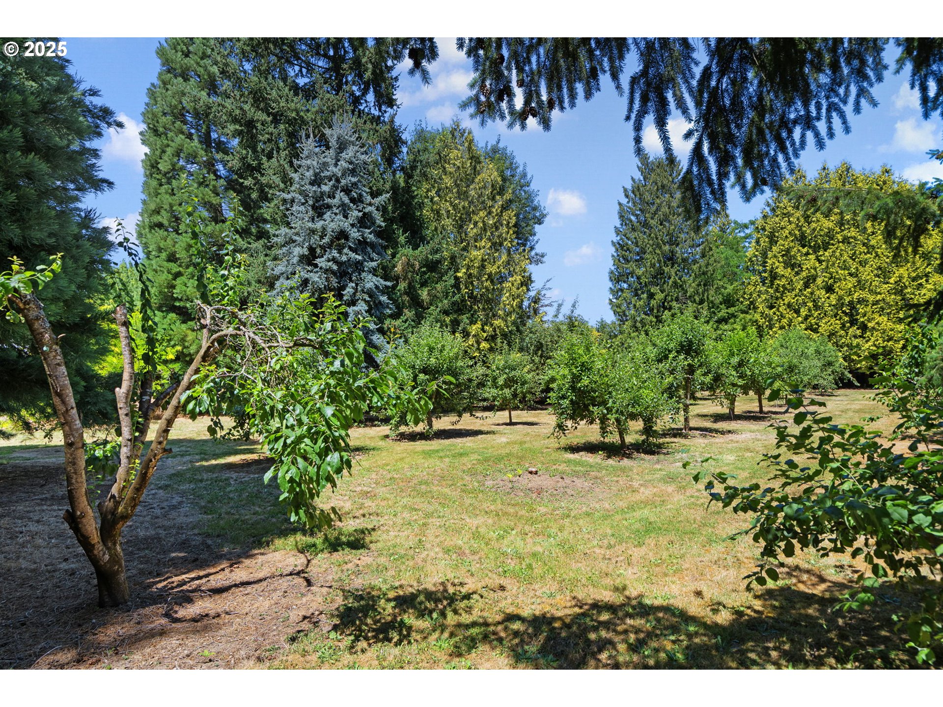 30413 South Stuwe Road Canby, OR 97013 - Photo 41 of 47