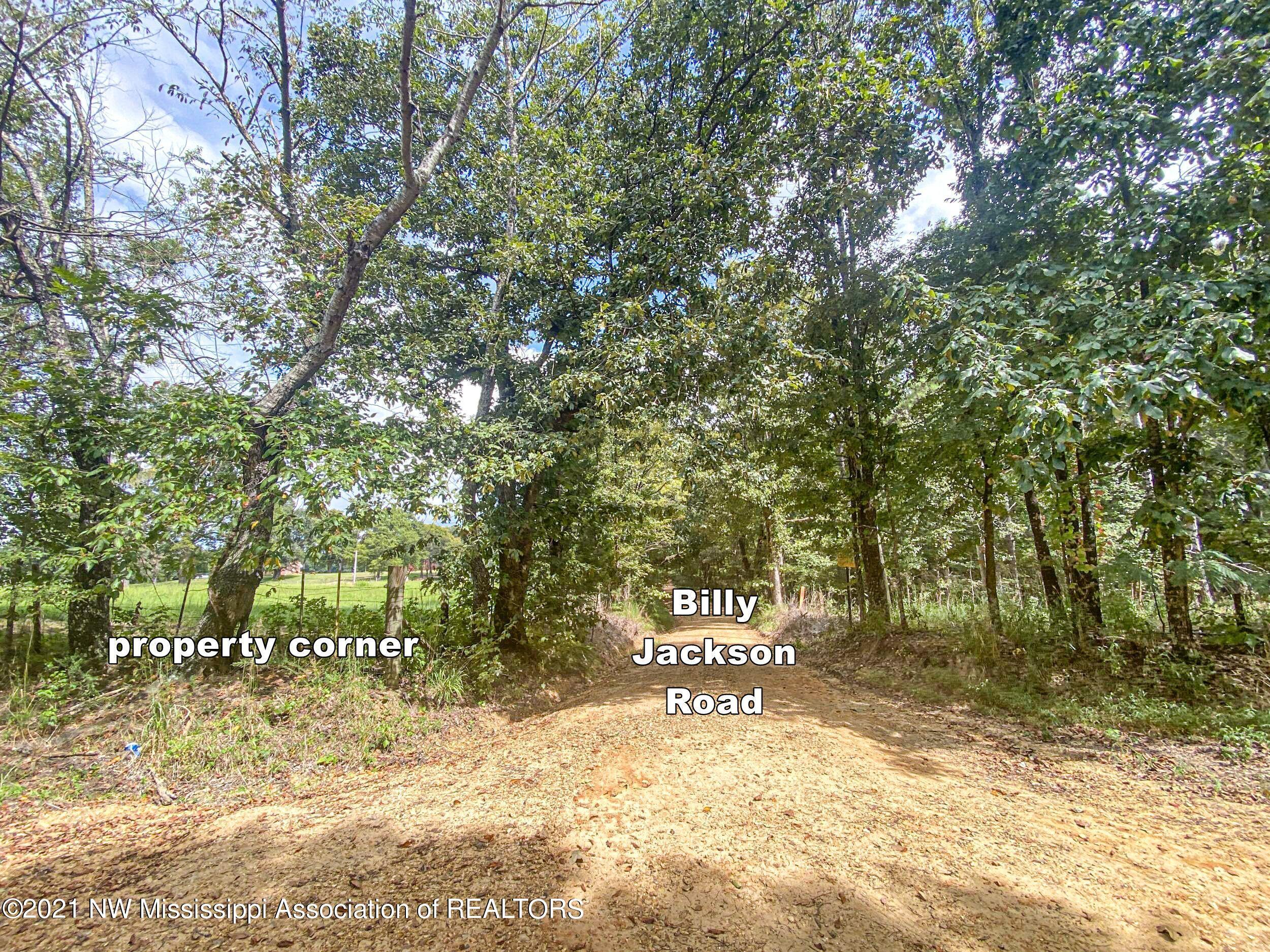 341 Billy Jackson Road Batesville, MS 38606 - Photo 22 of 81 billyja3e