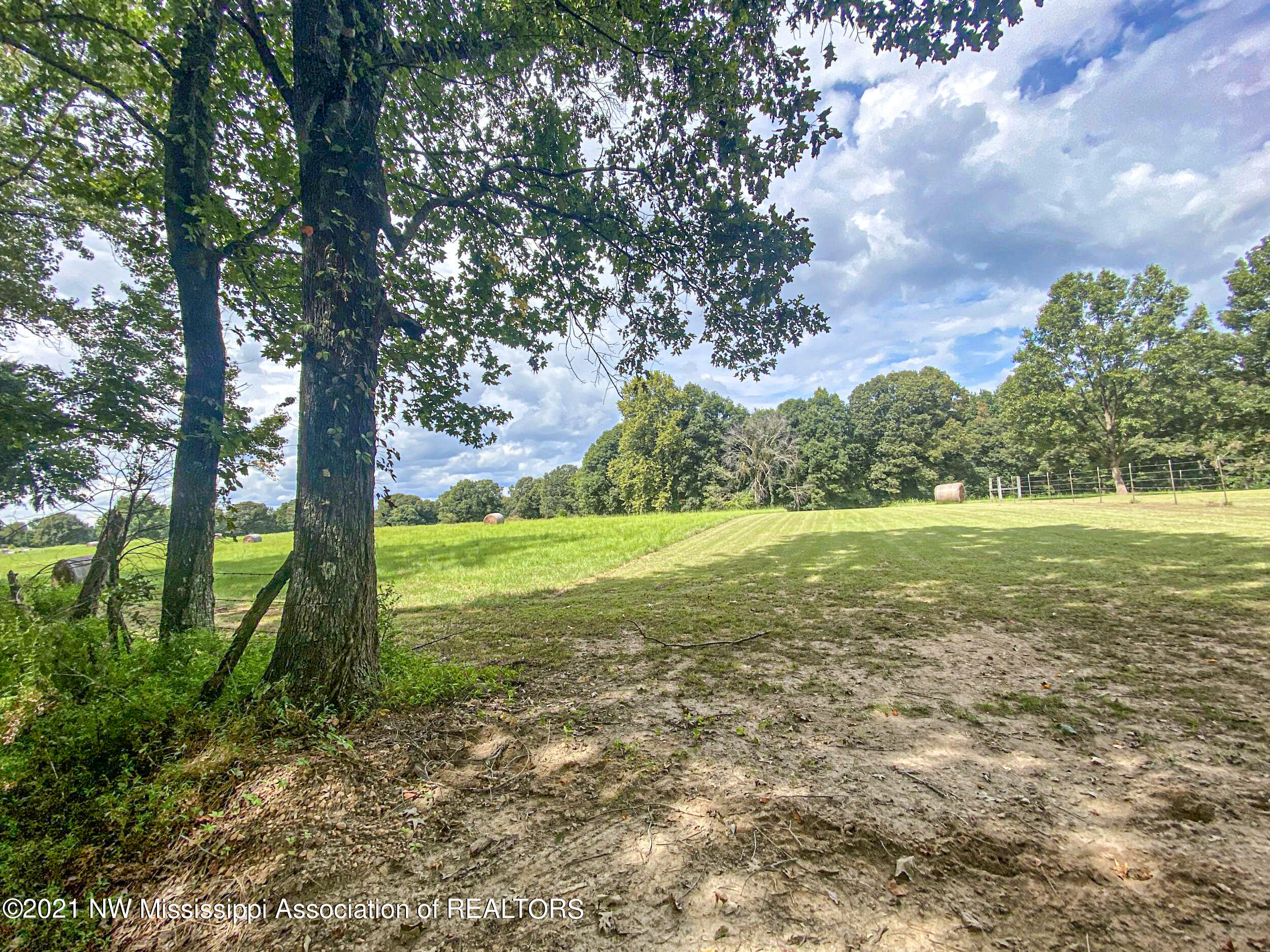 341 Billy Jackson Road Batesville, MS 38606 - Photo 23 of 81 billyja3j