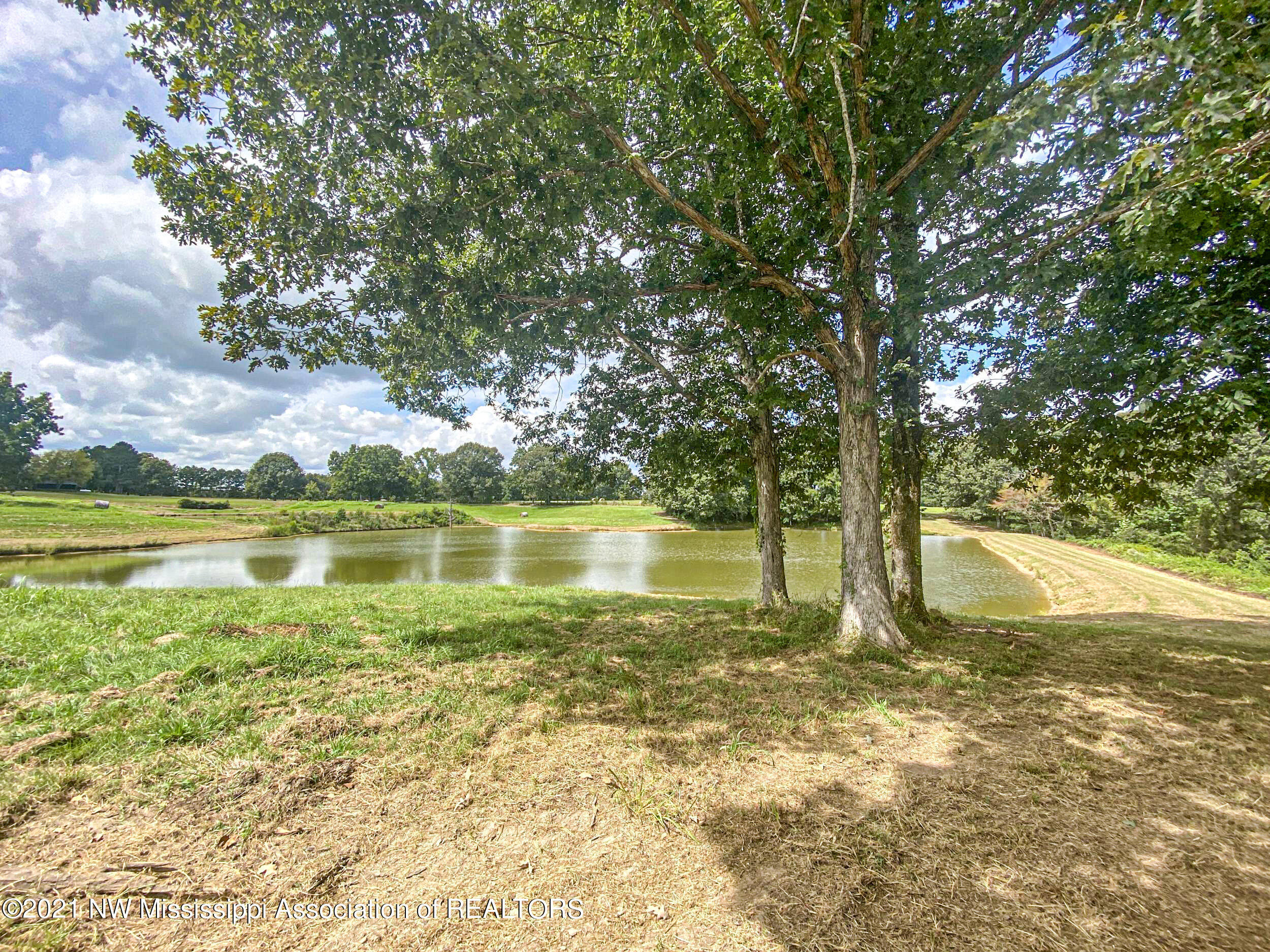 341 Billy Jackson Road Batesville, MS 38606 - Photo 33 of 81 billyja28