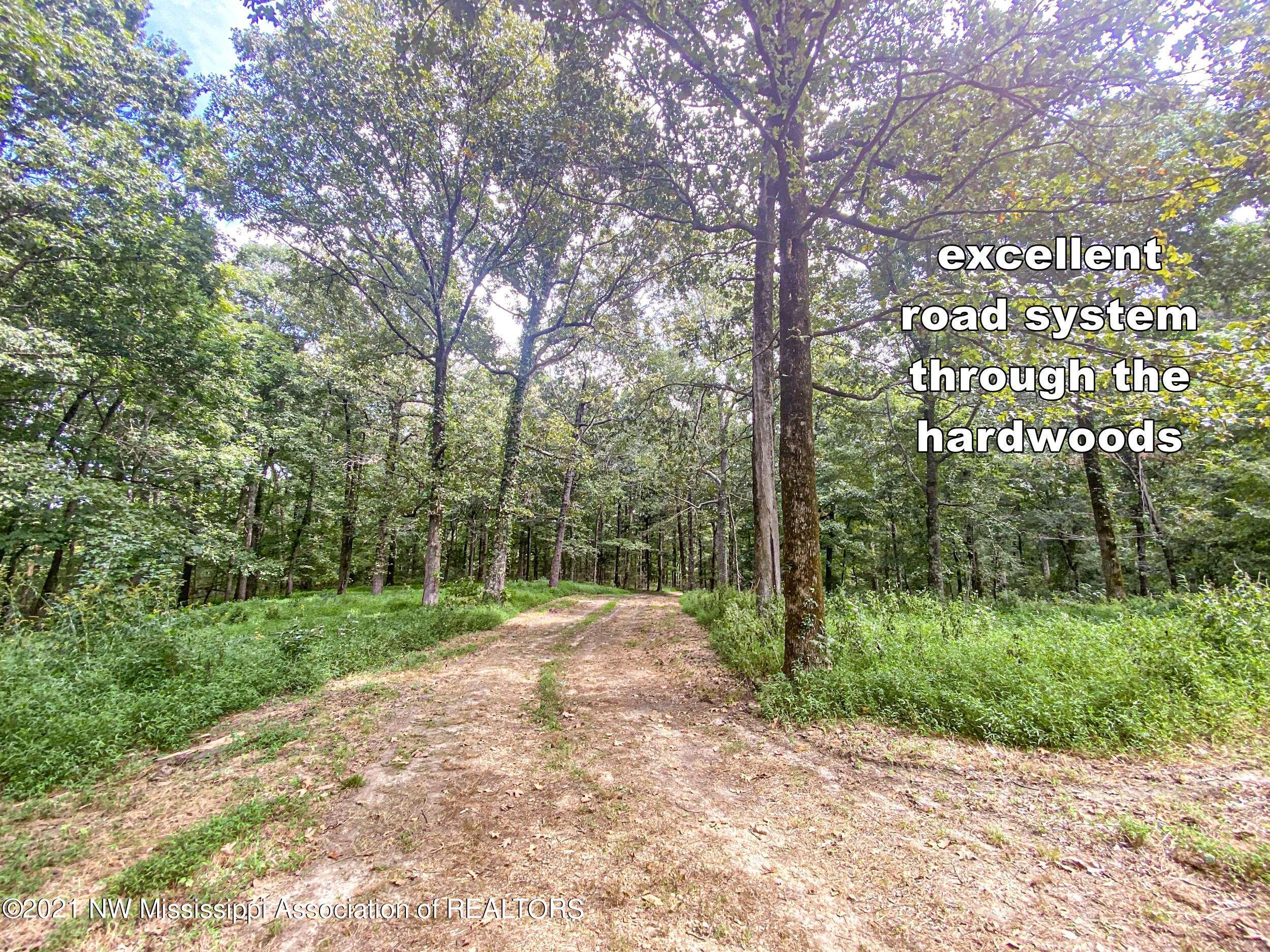 341 Billy Jackson Road Batesville, MS 38606 - Photo 34 of 81 billyja30