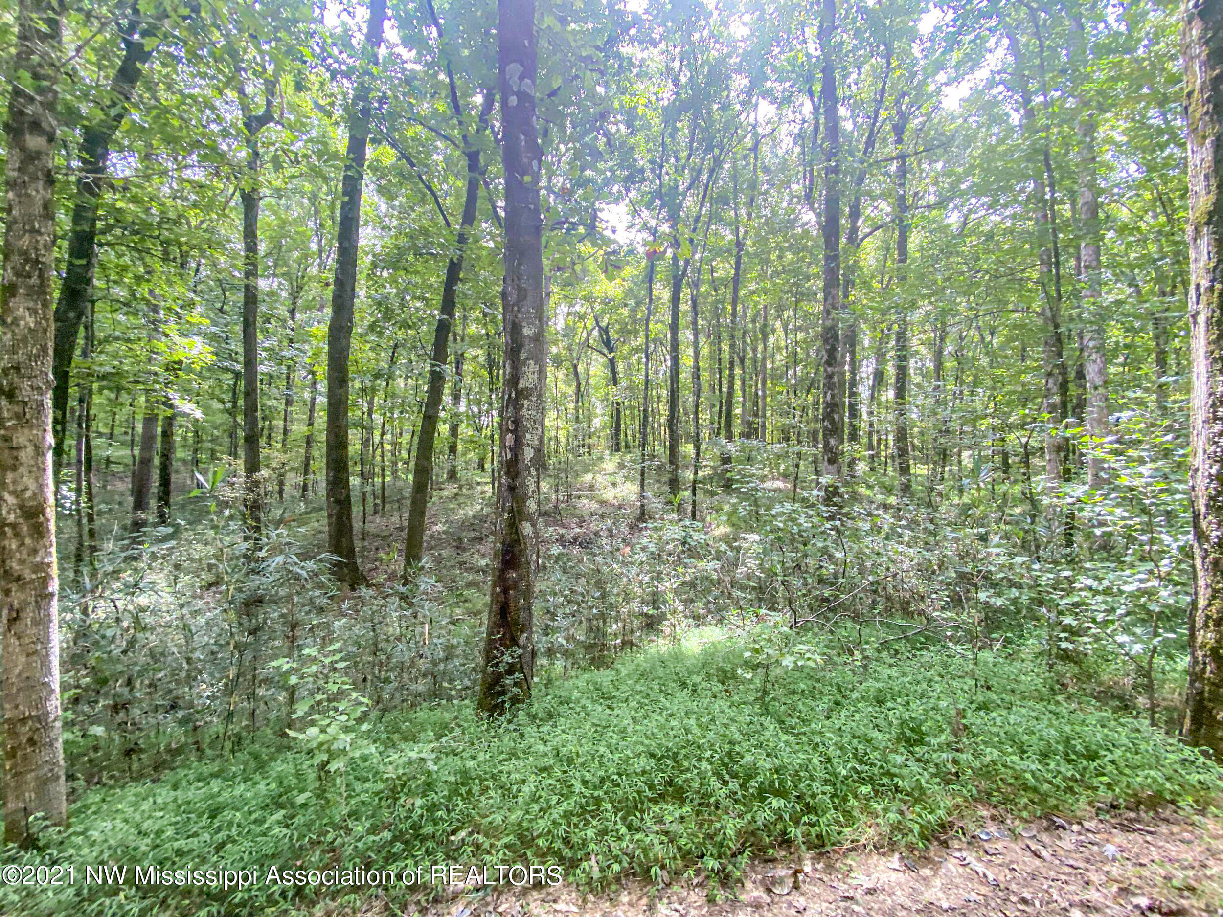 341 Billy Jackson Road Batesville, MS 38606 - Photo 35 of 81 billyja32