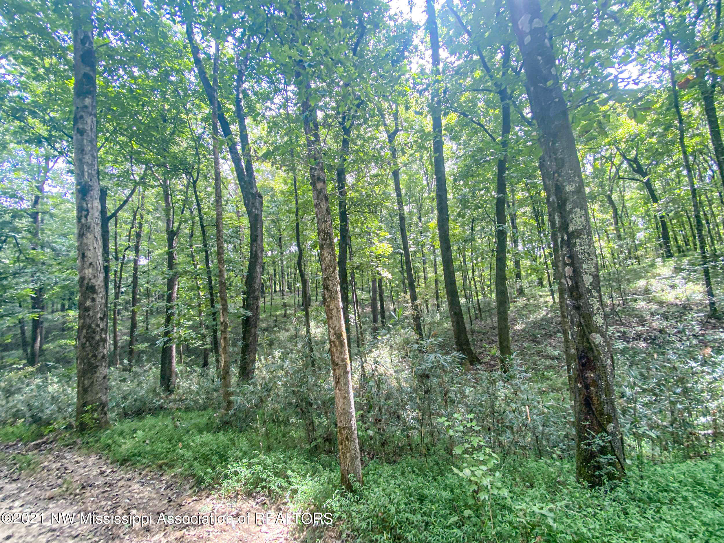 341 Billy Jackson Road Batesville, MS 38606 - Photo 36 of 81 billyja34