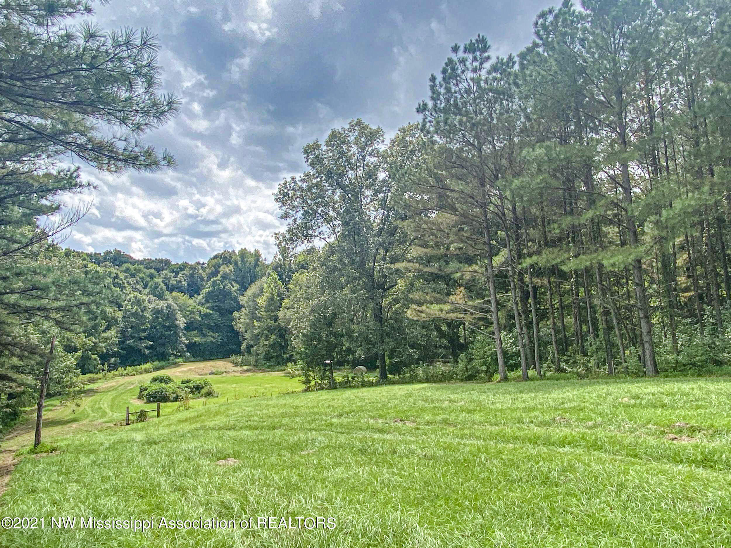 341 Billy Jackson Road Batesville, MS 38606 - Photo 41 of 81 billyja58