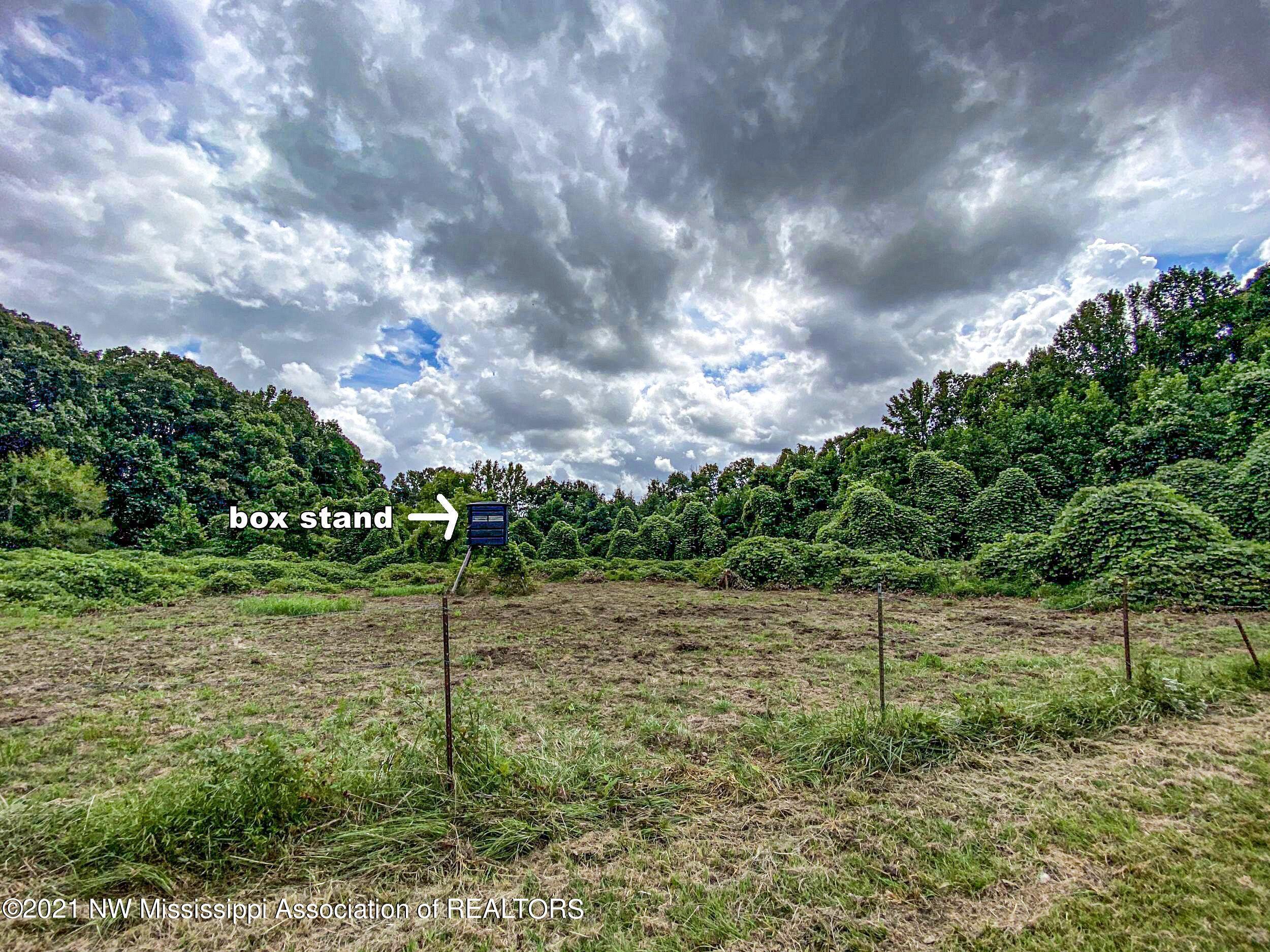 341 Billy Jackson Road Batesville, MS 38606 - Photo 42 of 81 billyja66