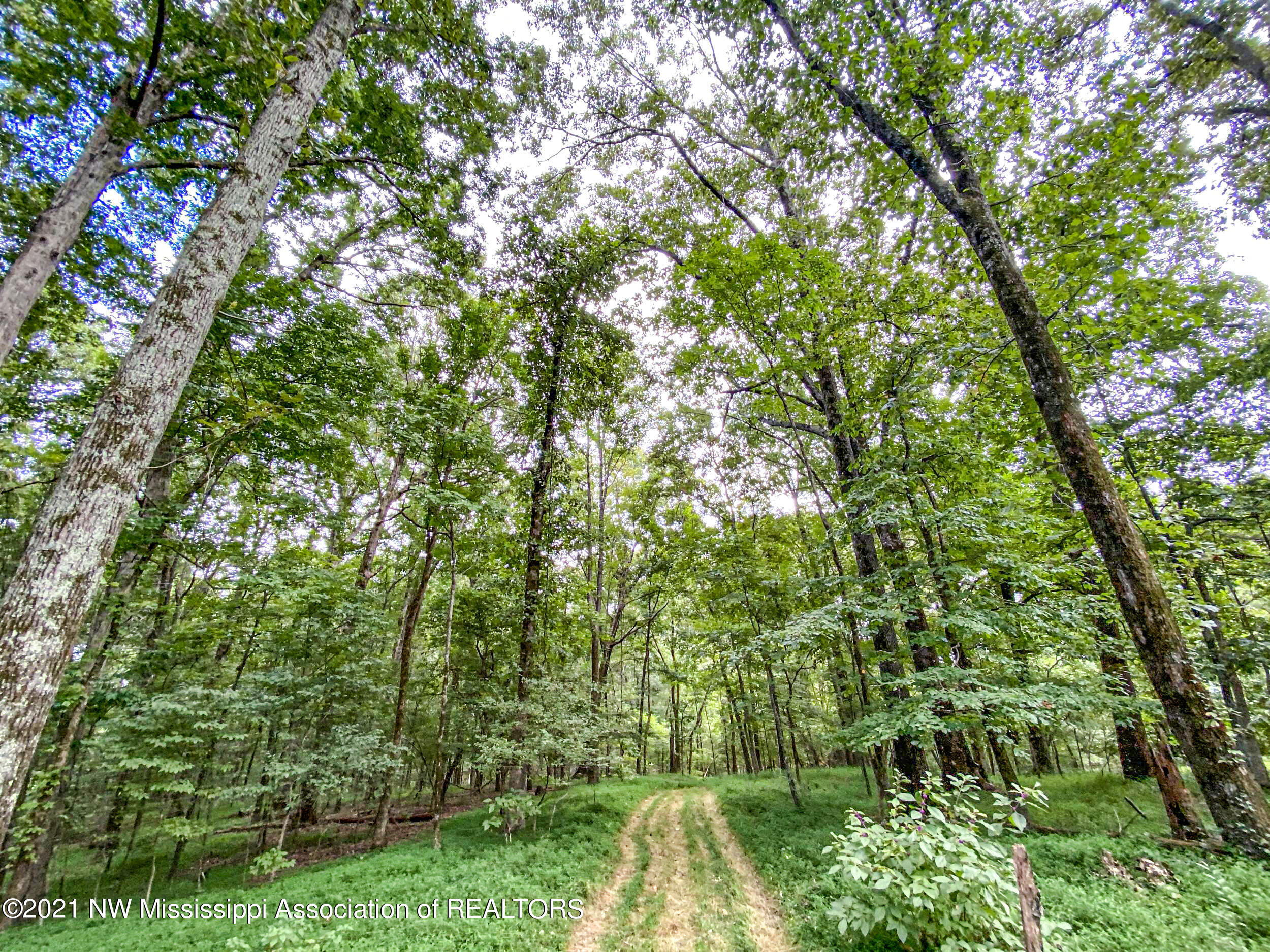 341 Billy Jackson Road Batesville, MS 38606 - Photo 44 of 81 billyja75