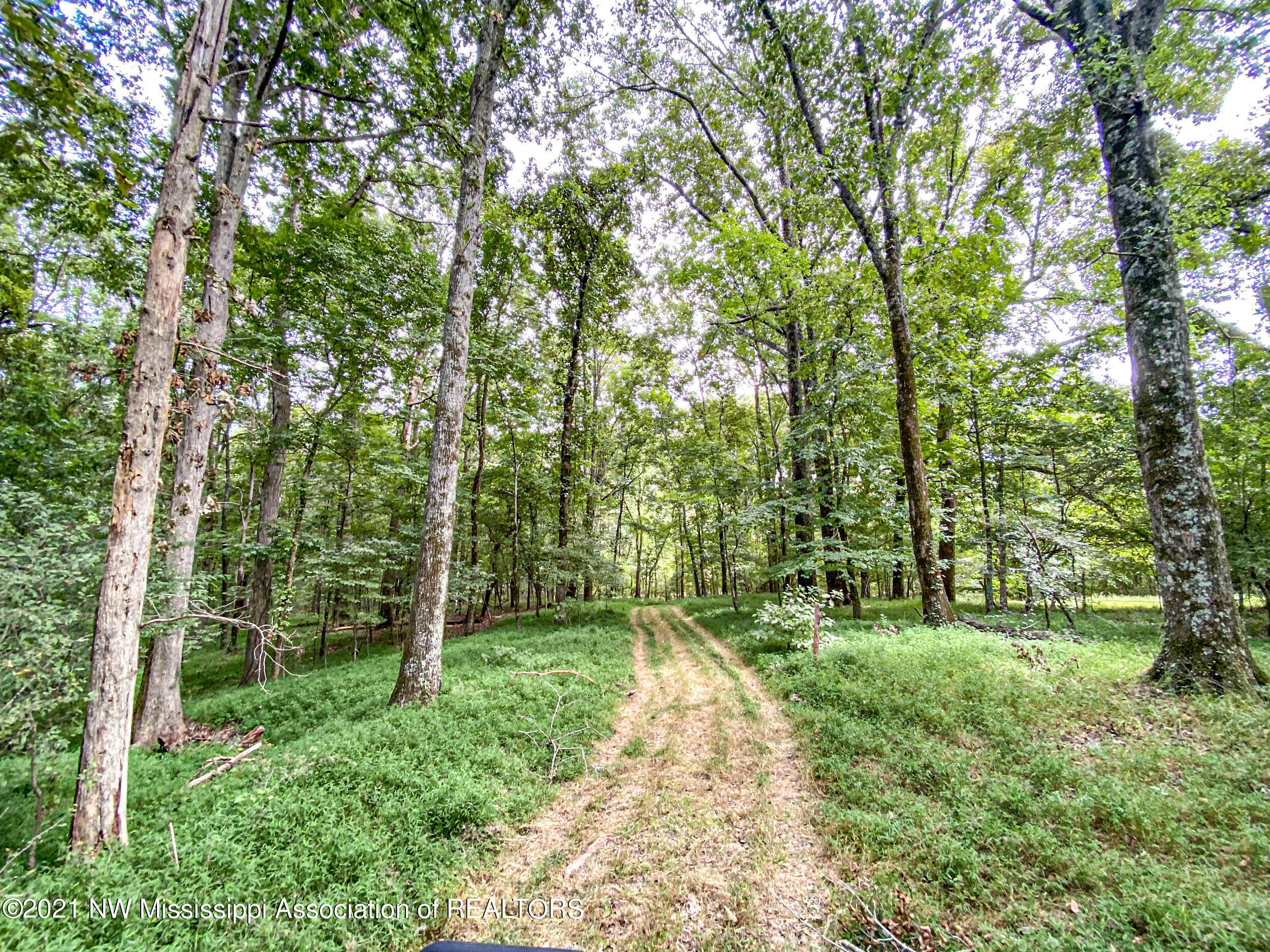 341 Billy Jackson Road Batesville, MS 38606 - Photo 45 of 81 billyja78