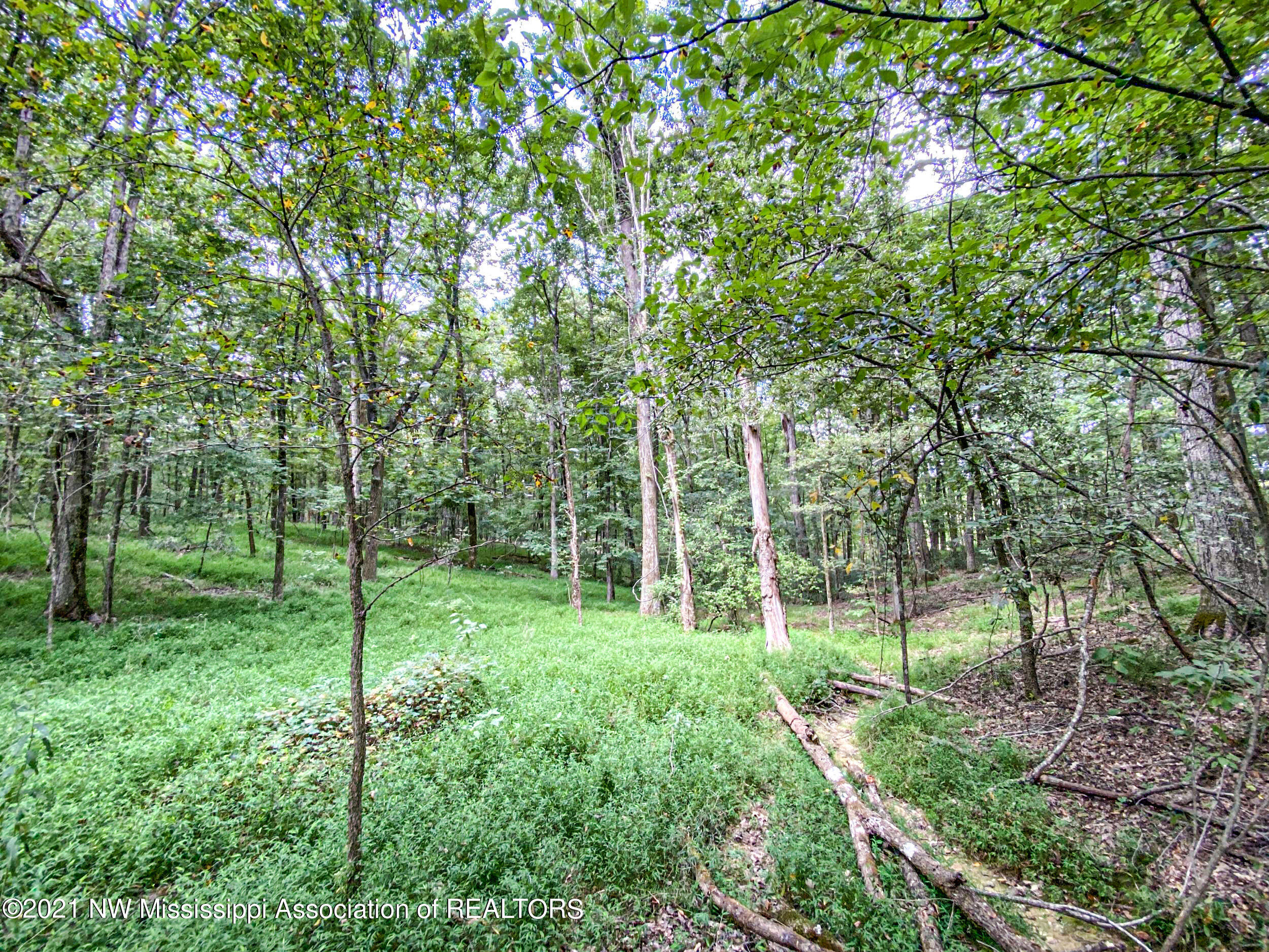 341 Billy Jackson Road Batesville, MS 38606 - Photo 46 of 81 billyja84