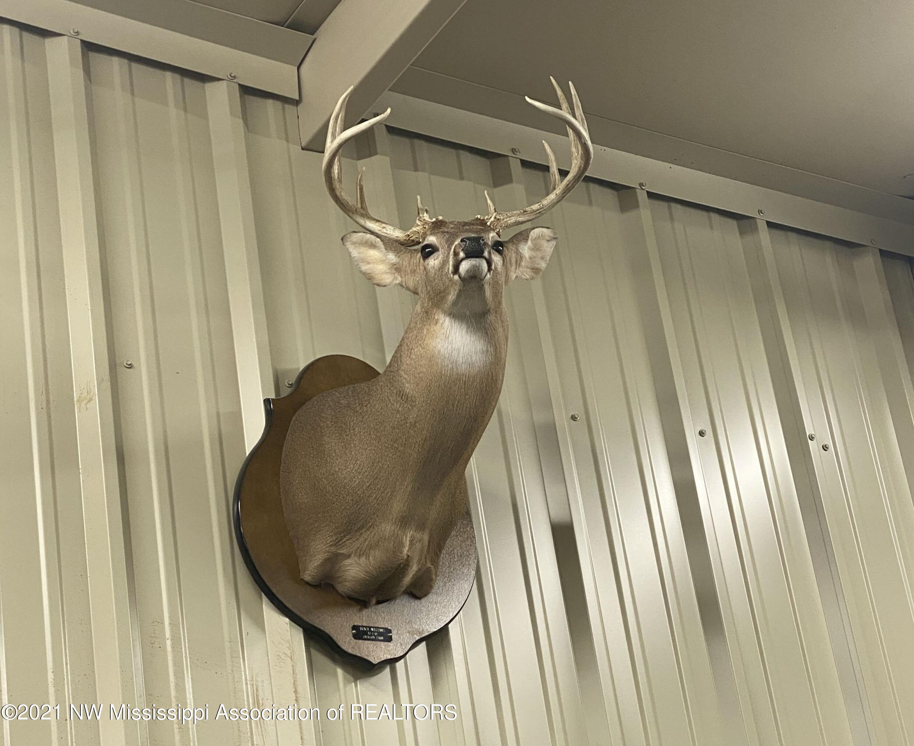 341 Billy Jackson Road Batesville, MS 38606 - Photo 81 of 81 billyja170