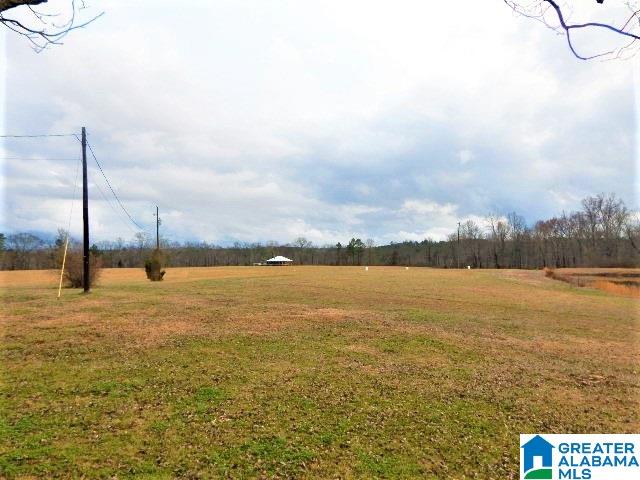1777 Deaver Walker Road Cleveland, AL 35049 - Photo 20 of 21