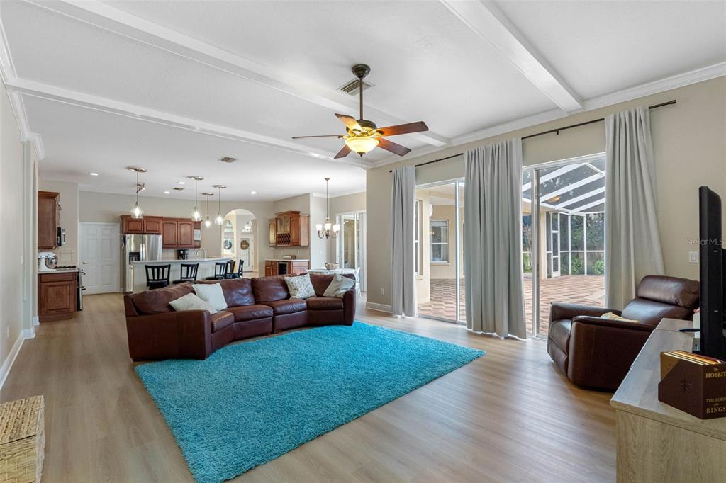 121 Myrtle Ridge Road Lutz, FL 33549 - Photo 16 of 42 a living room with fireplace furniture and a flat screen tv