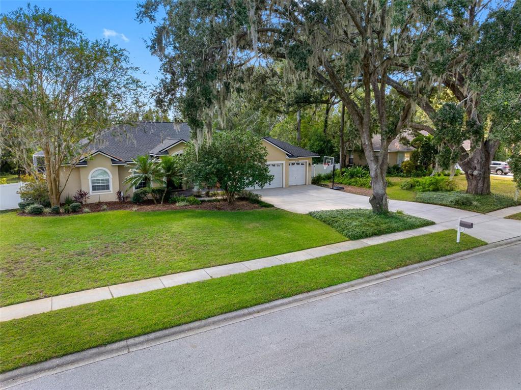 121 Myrtle Ridge Road Lutz, FL 33549 - Photo 2 of 42 a view of a house with a big yard potted plants and large tree