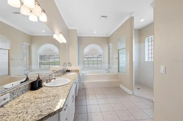 a bathroom with a granite countertop sink a toilet a large mirror and a bathtub