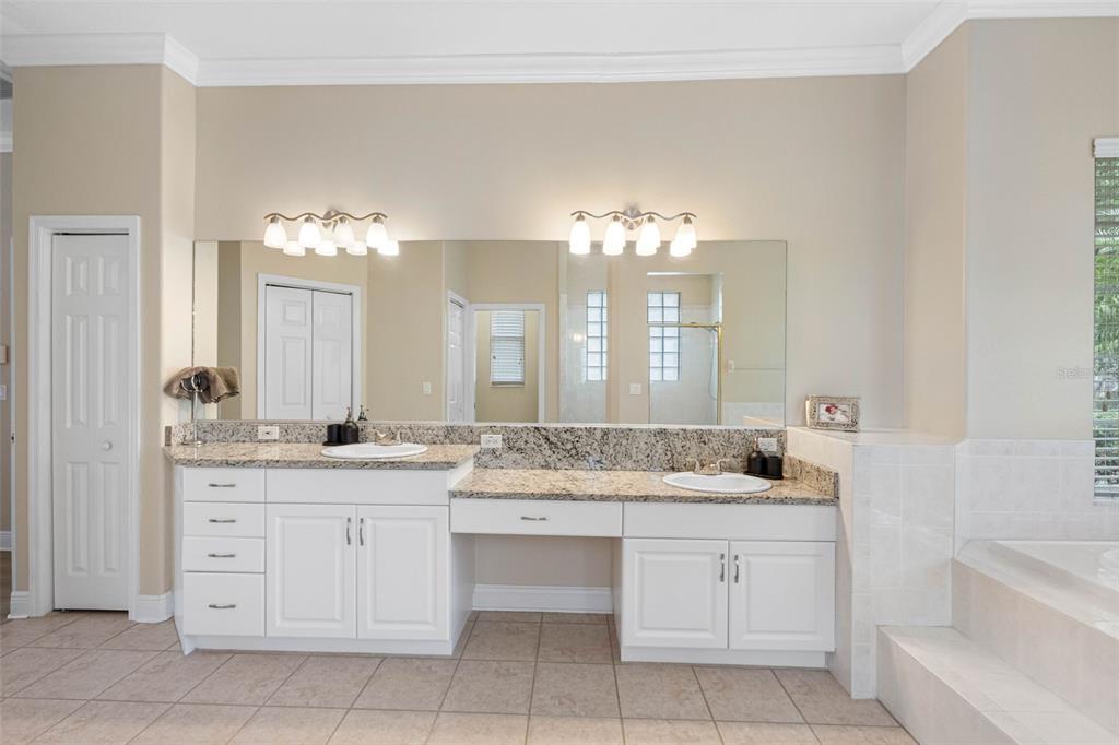 121 Myrtle Ridge Road Lutz, FL 33549 - Photo 22 of 42 a bathroom with a granite countertop sink a toilet a large mirror and a bathtub
