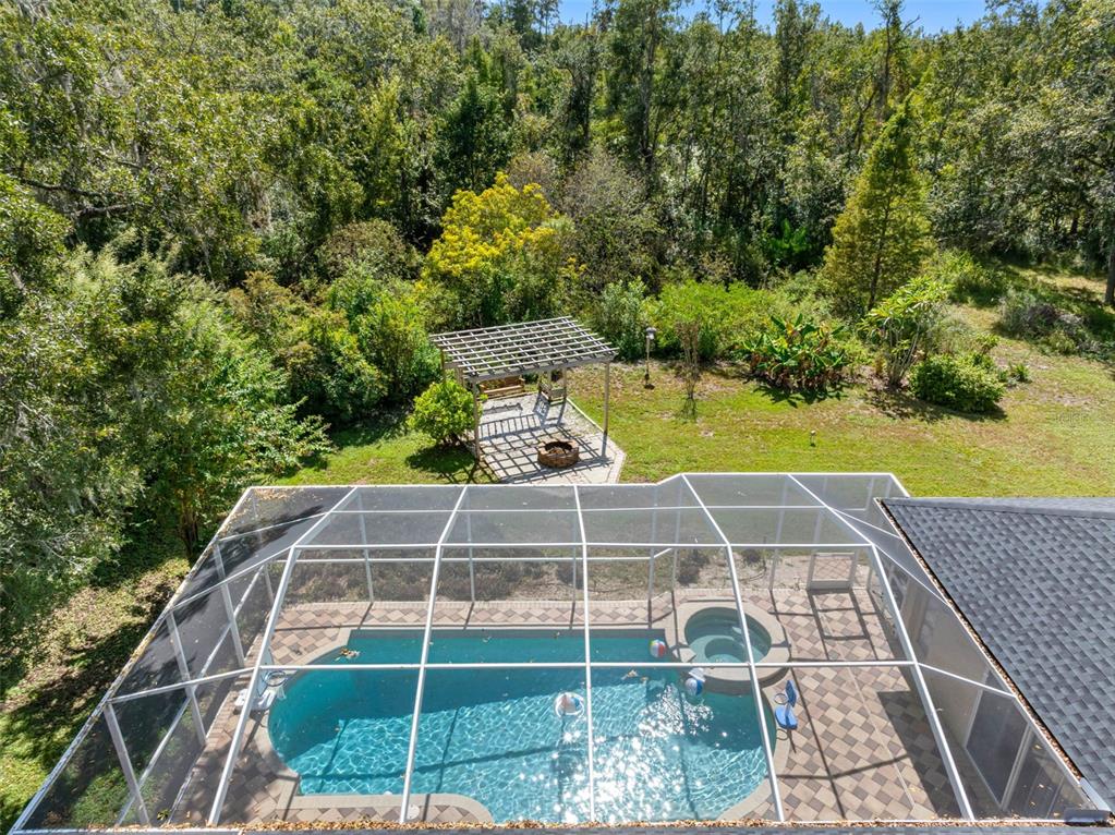 121 Myrtle Ridge Road Lutz, FL 33549 - Photo 4 of 42 a view of a yard with plants