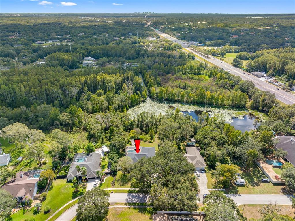 121 Myrtle Ridge Road Lutz, FL 33549 - Photo 42 of 42 an aerial view of residential houses with outdoor space and trees