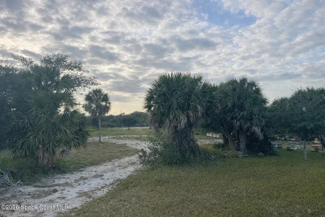 a view of a field with trees in the background