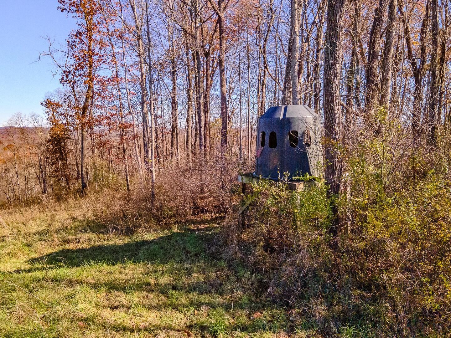 9615 Rural Dale Road Blue Rock, OH 43720 - Photo 65 of 83 9615 Rural Dale Rd-65