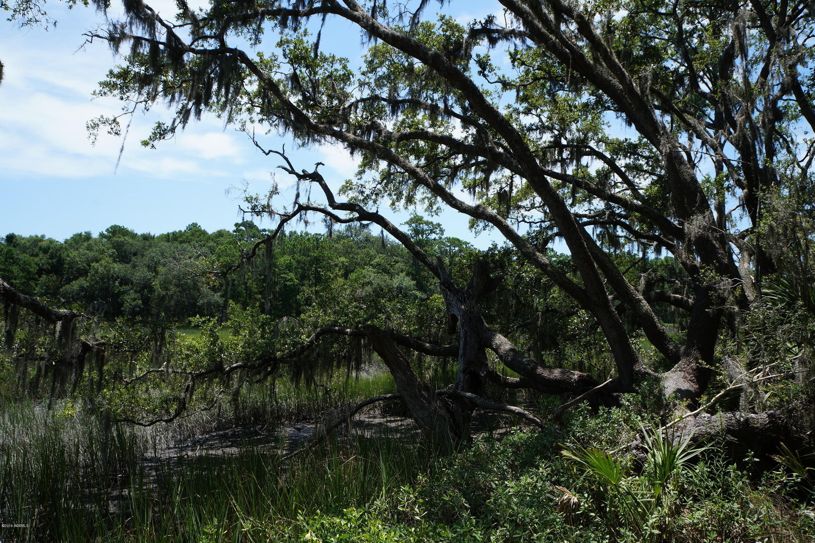 104-108 Fripp Point Road St. Helena Island, SC 29920 - Photo 13 of 29 DSC07731