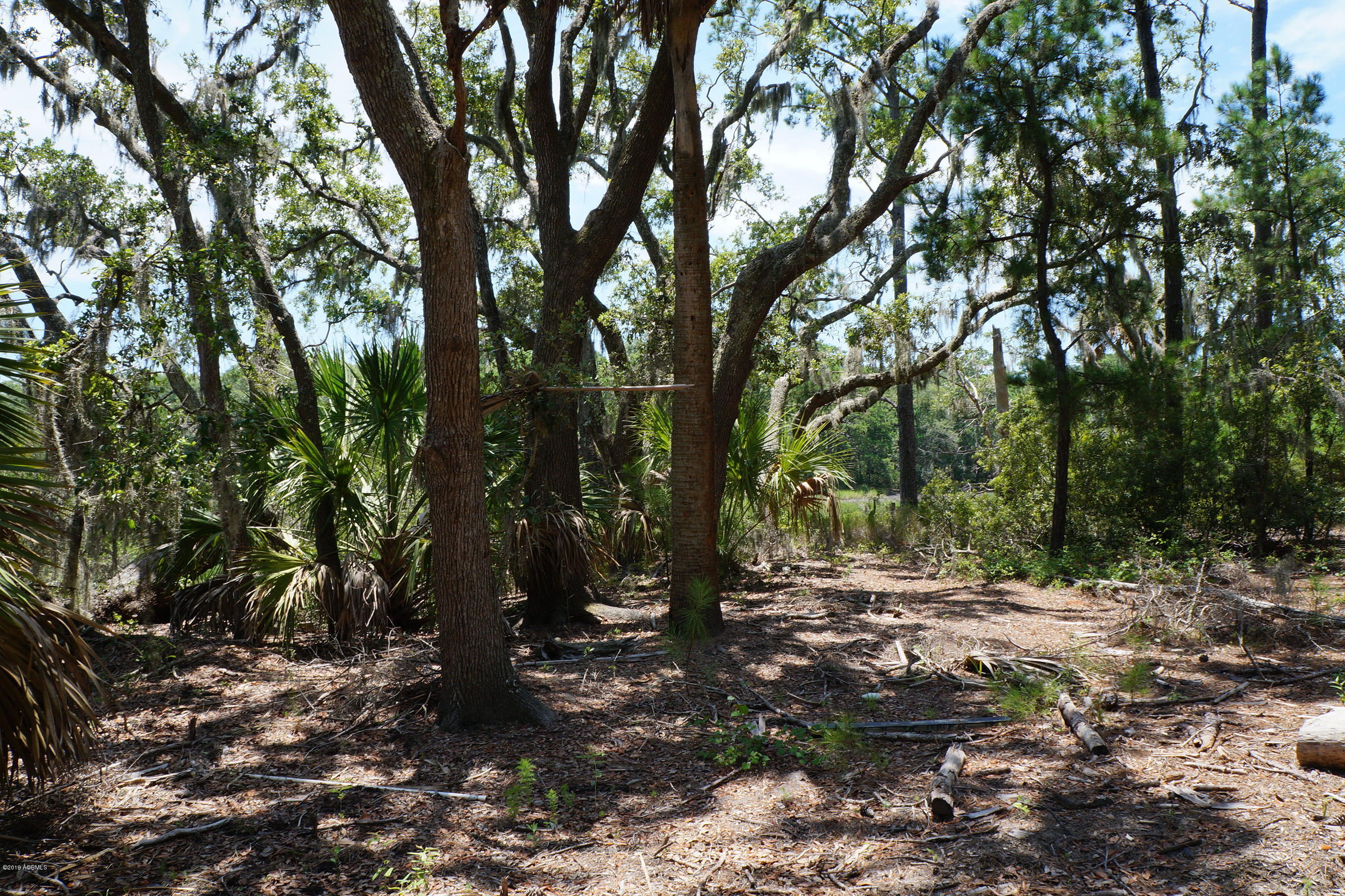104-108 Fripp Point Road St. Helena Island, SC 29920 - Photo 18 of 29 DSC07737