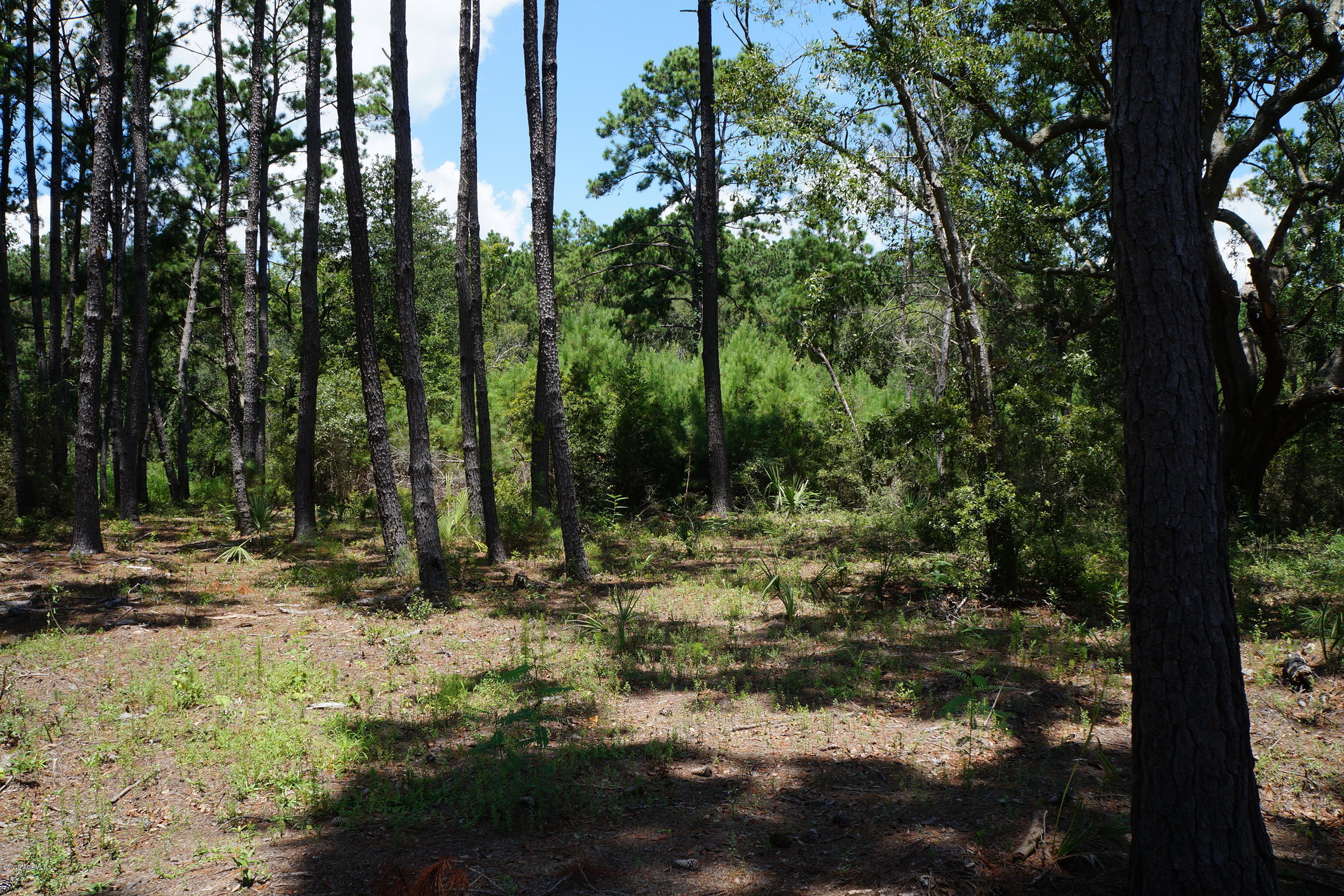 104-108 Fripp Point Road St. Helena Island, SC 29920 - Photo 19 of 29 DSC07738