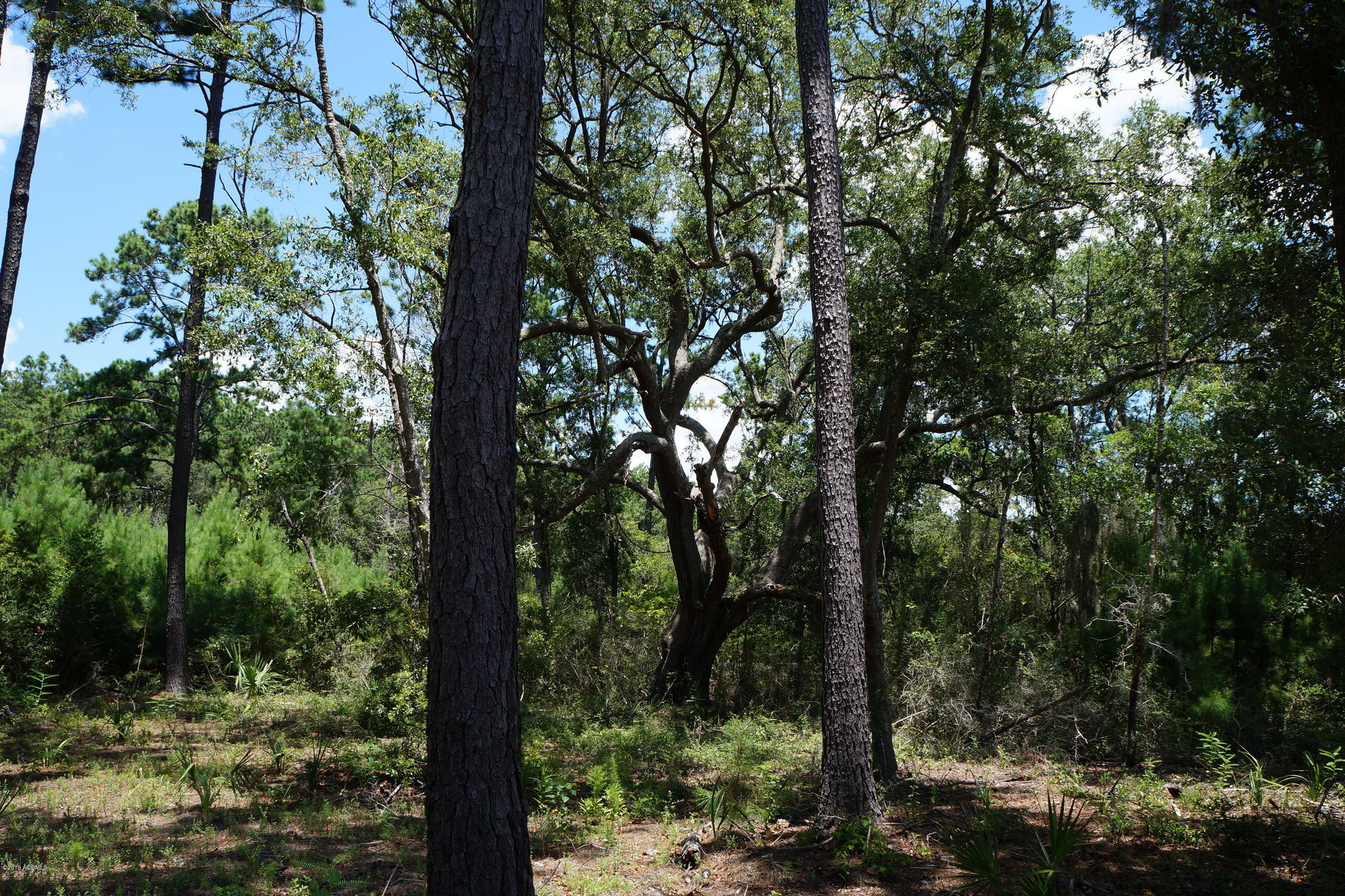 104-108 Fripp Point Road St. Helena Island, SC 29920 - Photo 20 of 29 DSC07739