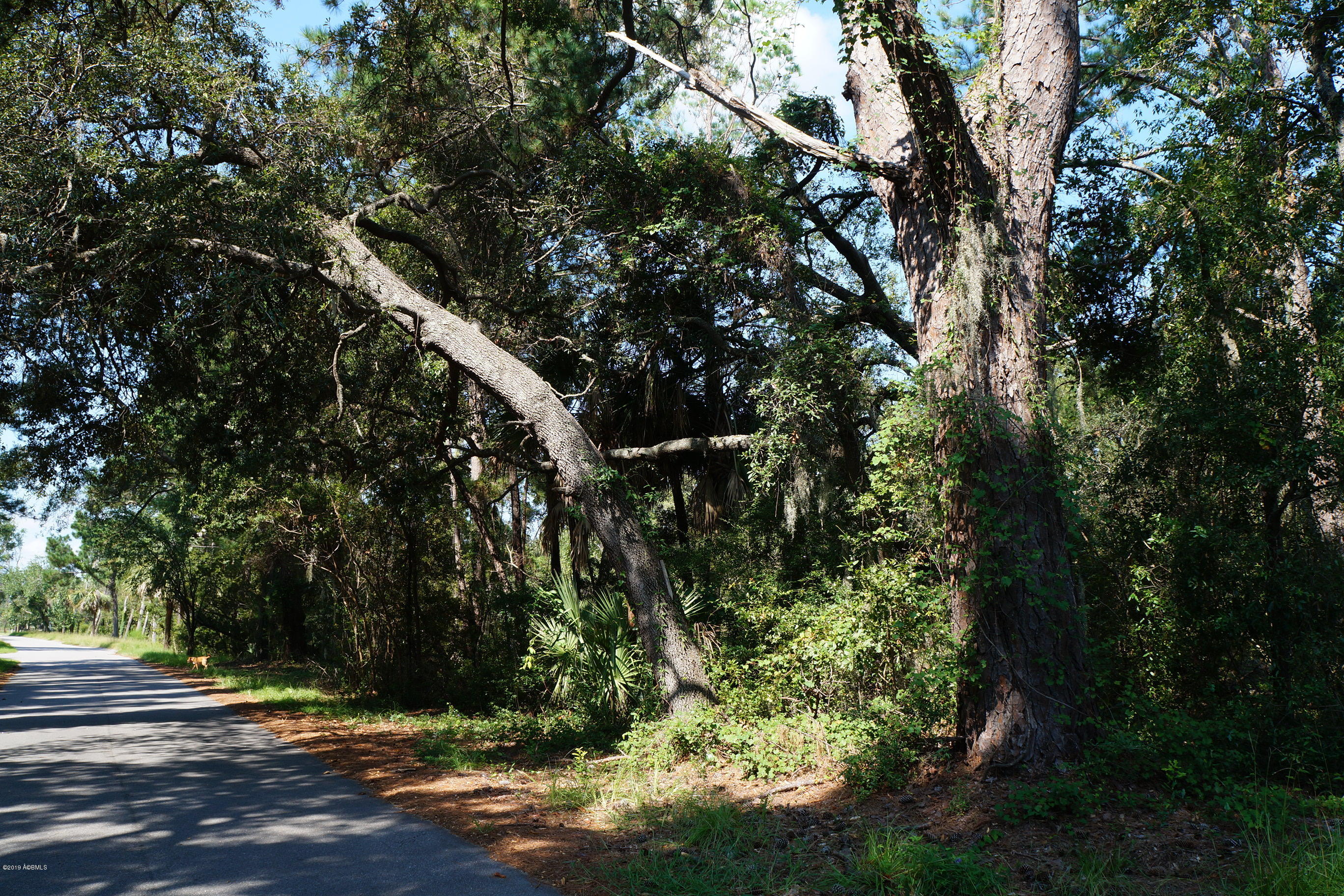 104-108 Fripp Point Road St. Helena Island, SC 29920 - Photo 24 of 29 DSC04187