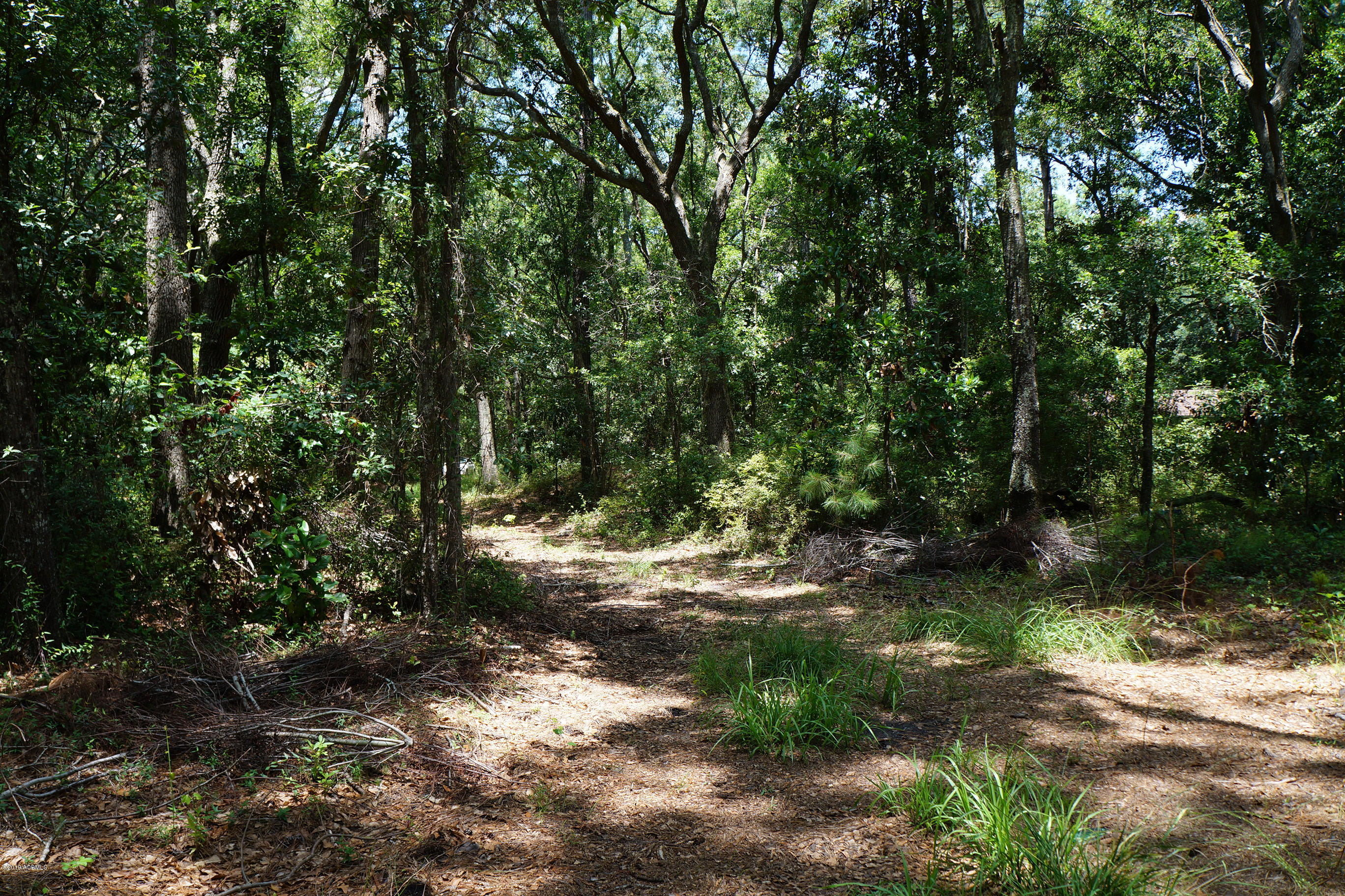104-108 Fripp Point Road St. Helena Island, SC 29920 - Photo 5 of 29 DSC07718