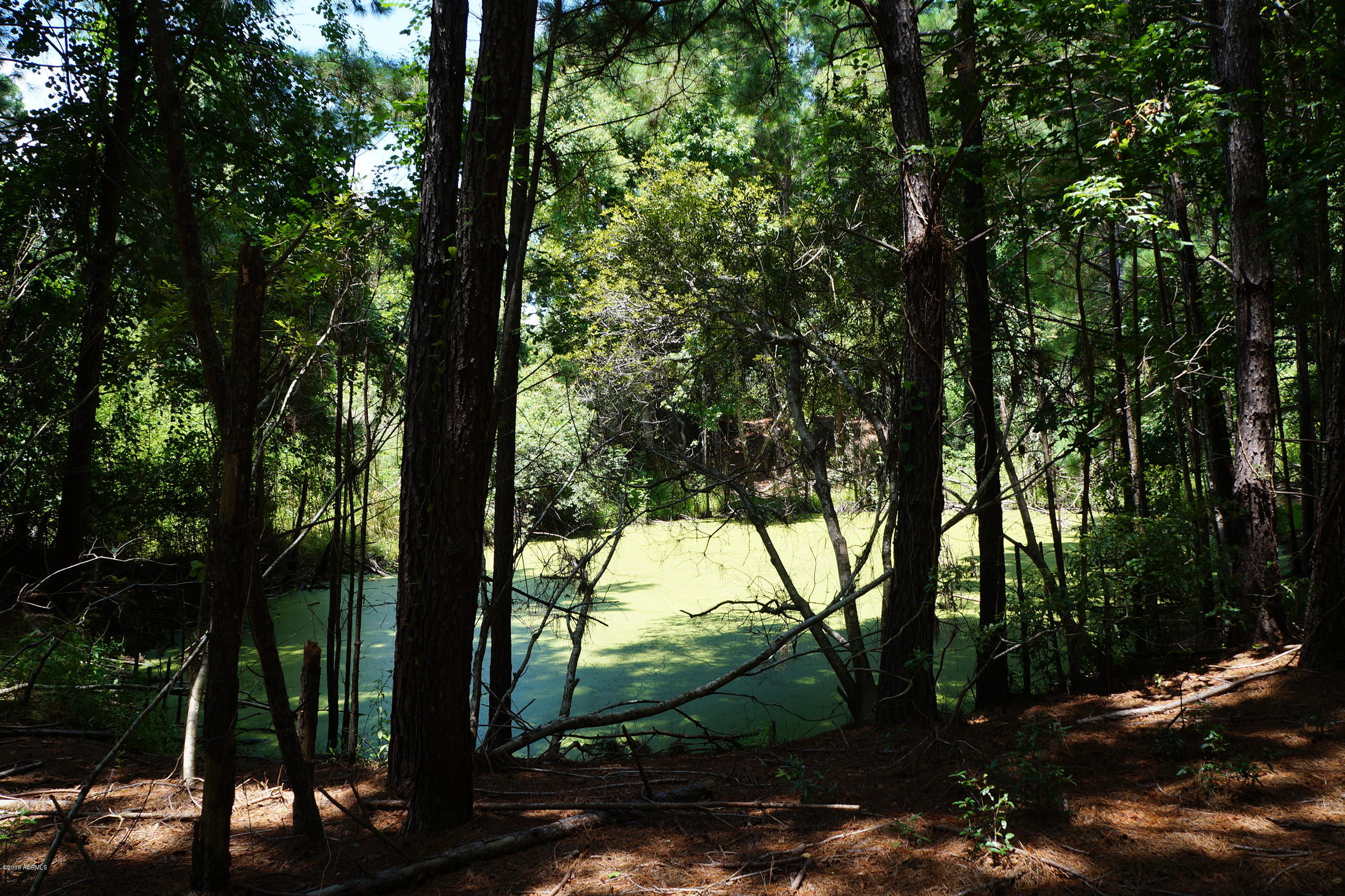 104-108 Fripp Point Road St. Helena Island, SC 29920 - Photo 8 of 29 DSC07725