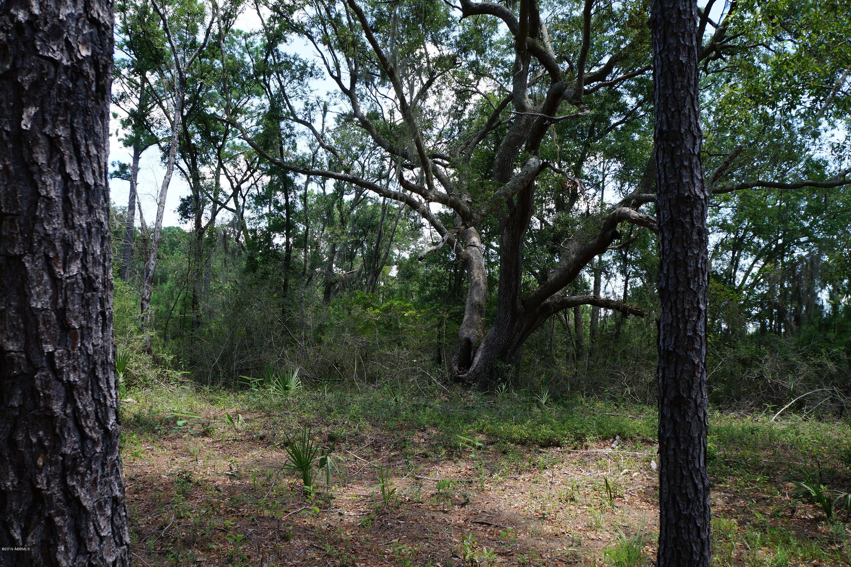 104-108 Fripp Point Road St. Helena Island, SC 29920 - Photo 9 of 29 DSC07726